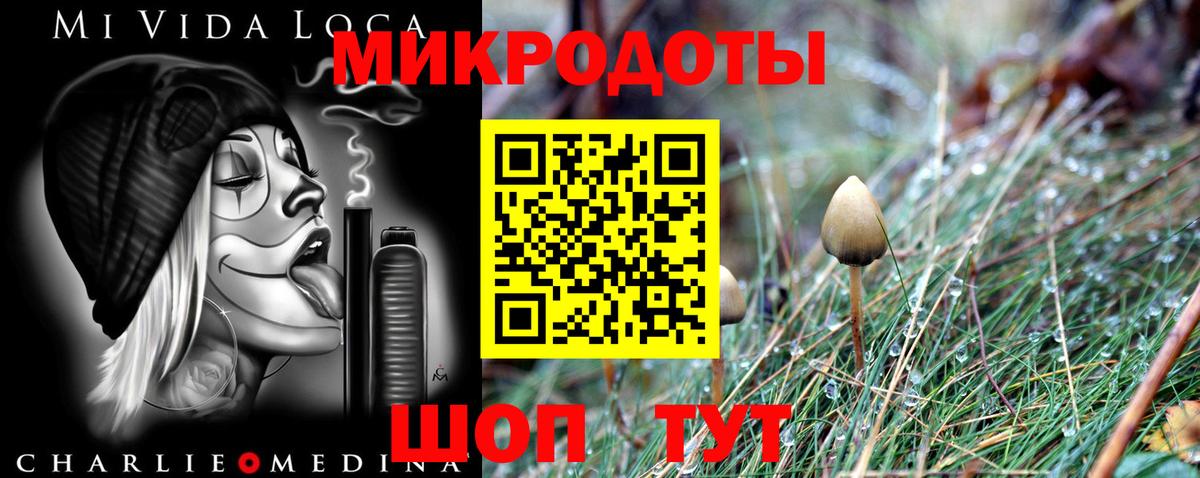 Междуреченск  Галлюциногенные грибы мухоморы  Вход с VPN  Псилоцибиновые грибы ЛСД 