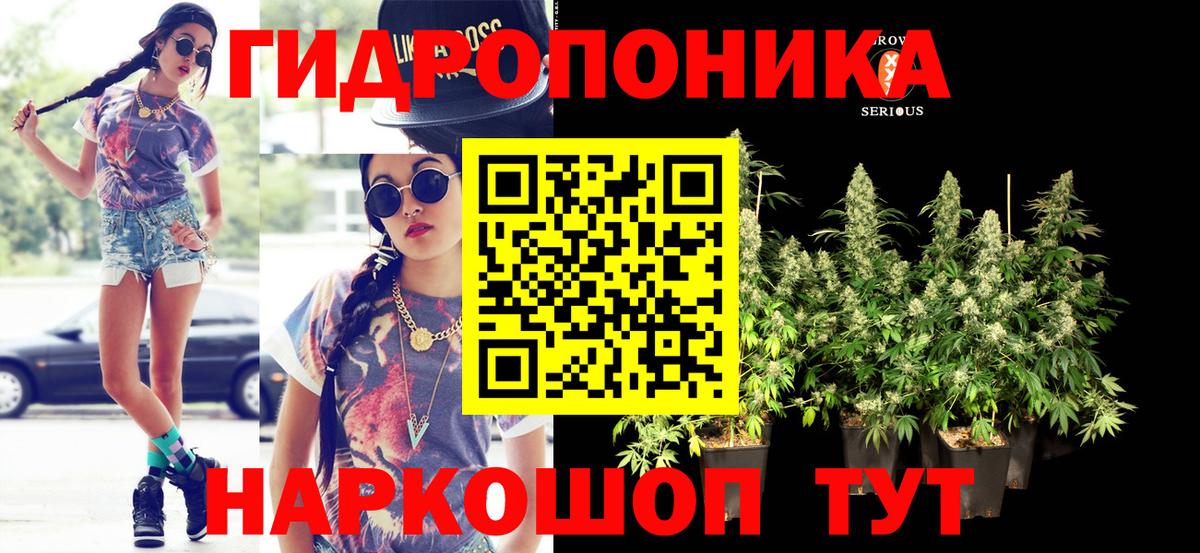 Бошки Шишки тримм Междуреченск